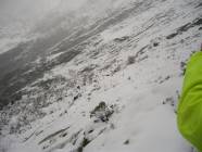 Previous image